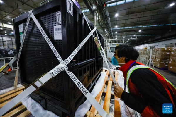 Japan-Born Giant Panda Xiang Xiang Returns to China Japan-Born Giant Panda Xiang Xiang Returns to China