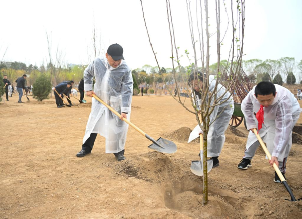 Xi Plants Trees in Beijing, Urging More Afforestation Efforts for Green Development, Building Beautiful China Xi Plants Trees in Beijing, Urging More Afforestation Efforts for Green Development, Building Beautiful China