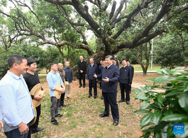 Distinctive Rural Industries Have Broad Prospects: Xi Distinctive Rural Industries Have Broad Prospects: Xi