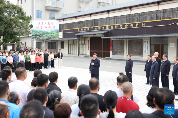 Distinctive Rural Industries Have Broad Prospects: Xi Distinctive Rural Industries Have Broad Prospects: Xi
