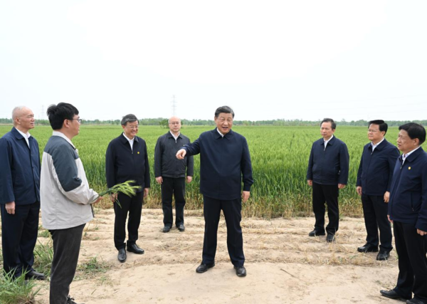 Xi Visits City of Cangzhou in North China's Hebei Province Xi Visits City of Cangzhou in North China's Hebei Province