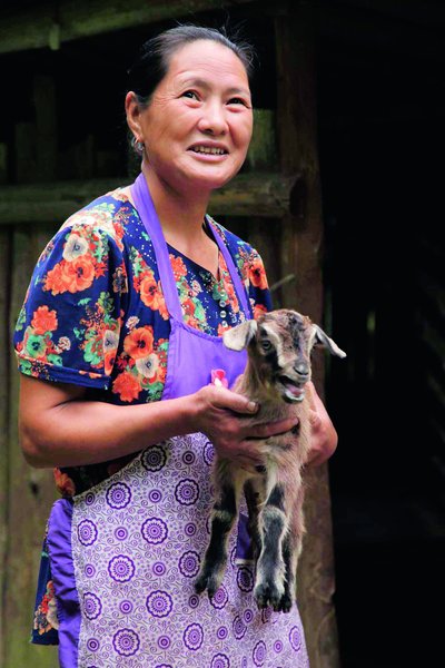 Peng Xiaying: Helping Villagers Escape Poverty Peng Xiaying: Helping Villagers Escape Poverty