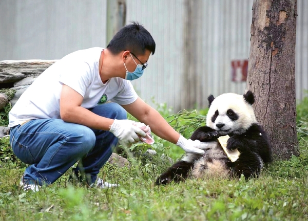 Guardians of Giant Pandas Guardians of Giant Pandas