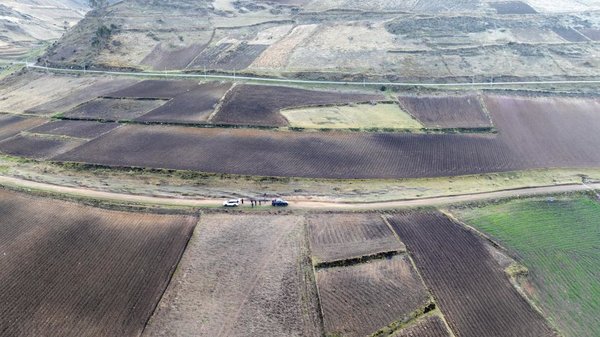 BRI Stories | China, Peru Join Forces in Potato Breeding, Production