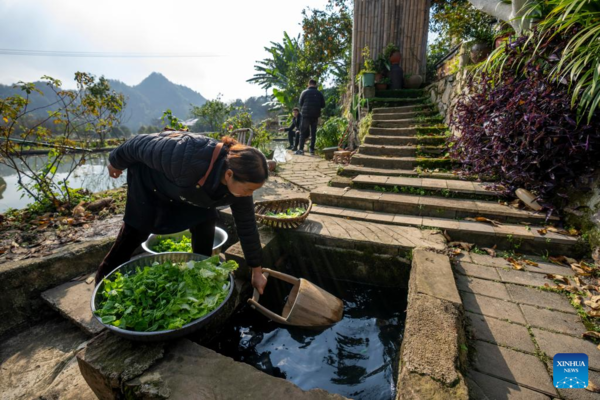 Chongqing's Tianfu Town Transforms Rural Houses into Thriving Homestays