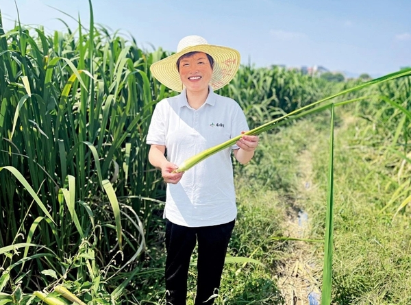 Pursuing Common Prosperity by Growing Jiaobai Pursuing Common Prosperity by Growing Jiaobai