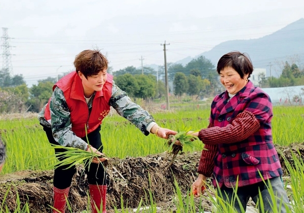 Pursuing Common Prosperity by Growing Jiaobai Pursuing Common Prosperity by Growing Jiaobai