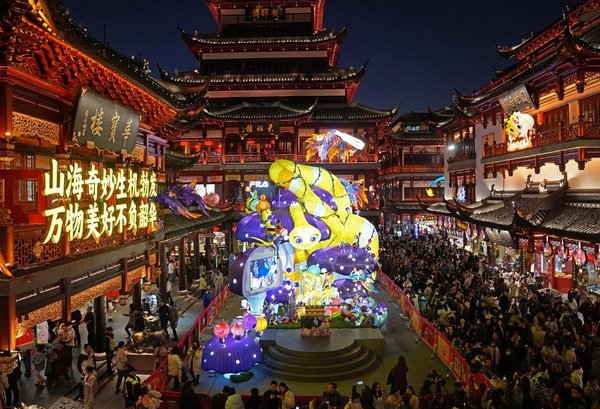 Discovering the Charm of Spring Festival Discovering the Charm of Spring Festival