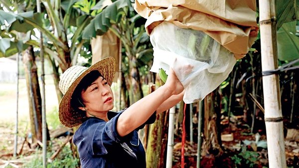 Sweet Business Boosts Rural Development Sweet Business Boosts Rural Development