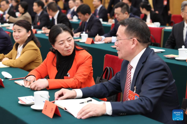 NPC Delegations Hold Meetings to Deliberate Government Work Report