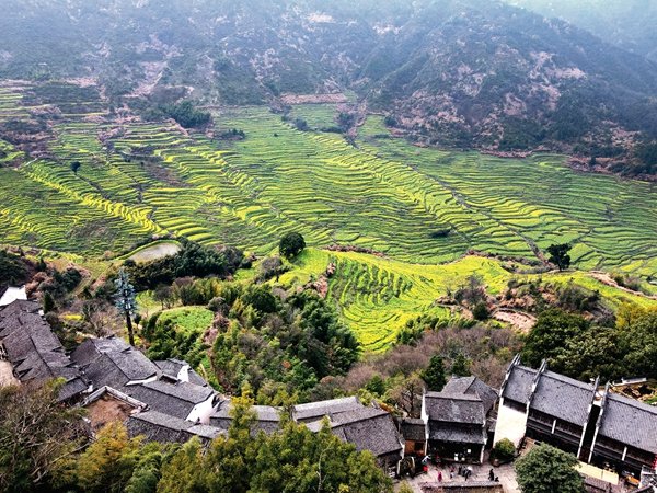 Discovery | Spring in Wuyuan: When Hui-Style Architecture Meets Rapeseed Flowers