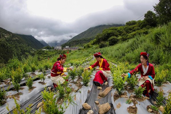 White Paper Highlights Historic Human Rights Progress in Xizang White Paper Highlights Historic Human Rights Progress in Xizang