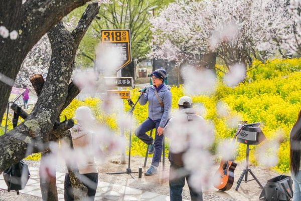 Nyingchi in SW China's Xizang Boosts Tourism with Flower Viewing Nyingchi in SW China's Xizang Boosts Tourism with Flower Viewing