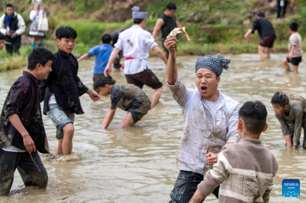 Various Cultural Events Held in Terraced Fields in Congjiang, Guizhou