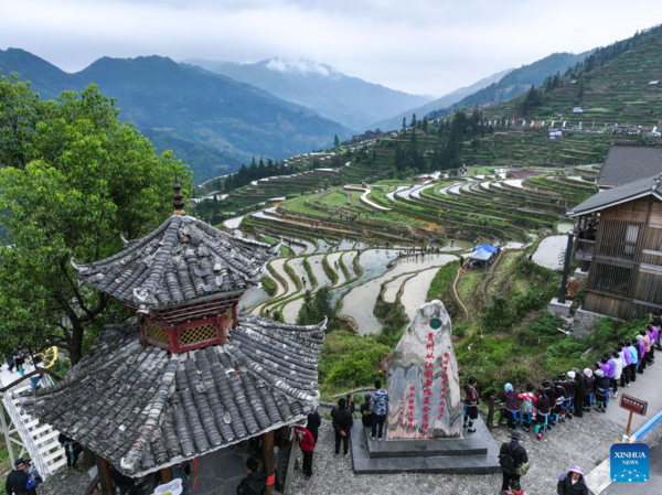 Various Cultural Events Held in Terraced Fields in Congjiang, Guizhou