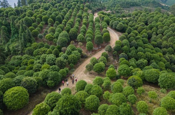 China Unveils Draft of Its First-Ever Environmental Code China Unveils Draft of Its First-Ever Environmental Code