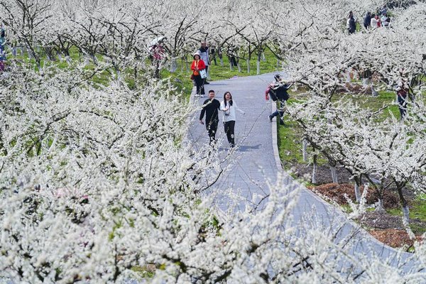 Rustic Charm of Rural China Trending Among Tourists
