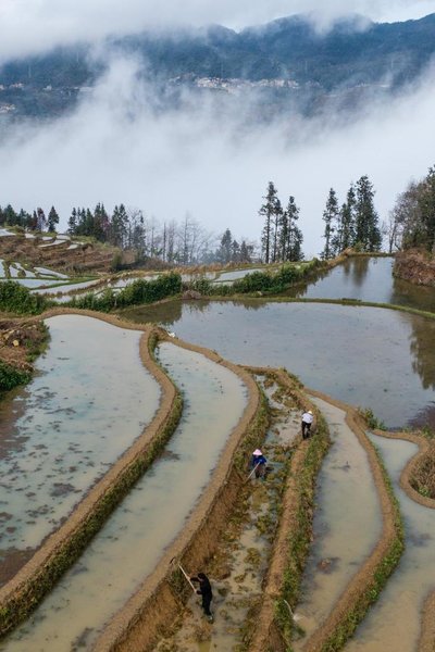 1,300-Year-Old Agricultural Ecosystem Shines in SW China's Yunnan 1,300-Year-Old Agricultural Ecosystem Shines in SW China's Yunnan