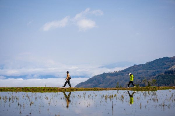 1,300-Year-Old Agricultural Ecosystem Shines in SW China's Yunnan 1,300-Year-Old Agricultural Ecosystem Shines in SW China's Yunnan