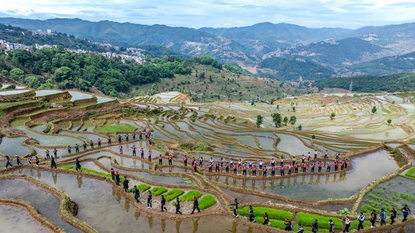 1,300-Year-Old Agricultural Ecosystem Shines in SW China's Yunnan 1,300-Year-Old Agricultural Ecosystem Shines in SW China's Yunnan
