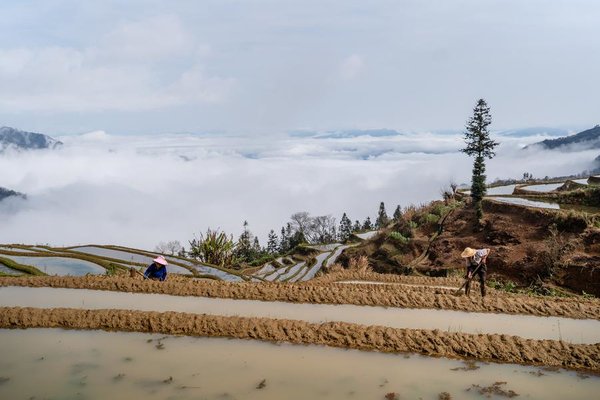 1,300-Year-Old Agricultural Ecosystem Shines in SW China's Yunnan 1,300-Year-Old Agricultural Ecosystem Shines in SW China's Yunnan