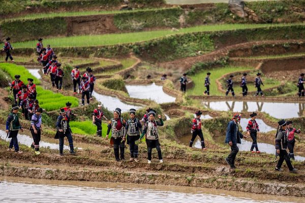 1,300-Year-Old Agricultural Ecosystem Shines in SW China's Yunnan 1,300-Year-Old Agricultural Ecosystem Shines in SW China's Yunnan