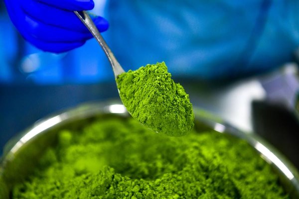 Made Here: Matcha Goes Global from This Mountainous County