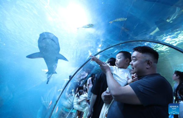 International Children's Day Celebrated Across China