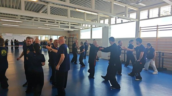 From Shandong to Spain: Chinese Martial Arts Inspire Cross-Cultural Exchange From Shandong to Spain: Chinese Martial Arts Inspire Cross-Cultural Exchange