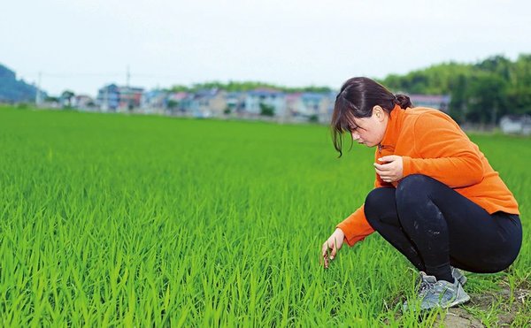 Beautiful New Farmers | Young Woman's Dreams Blossom on Field of Hope Beautiful New Farmers | Young Woman's Dreams Blossom on Field of Hope