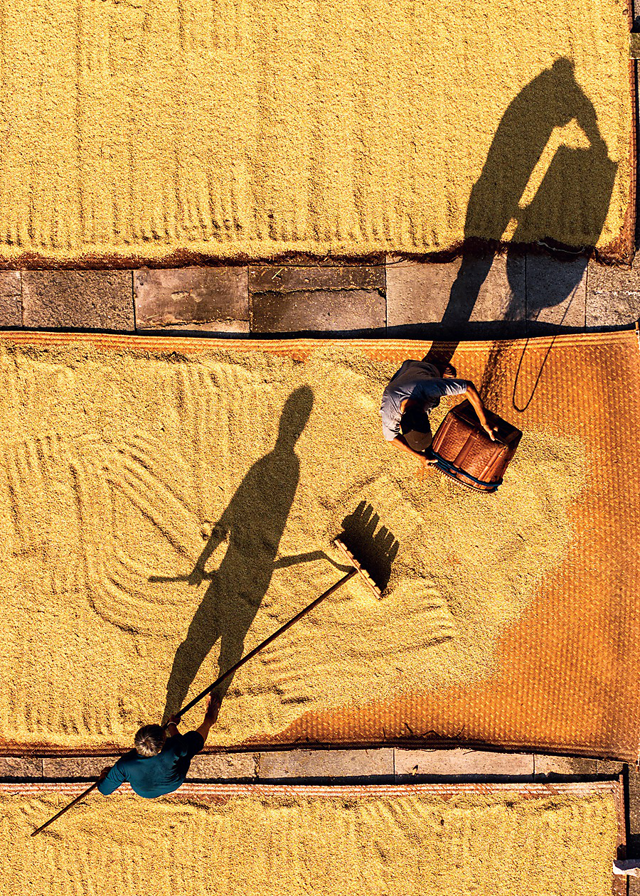 40.《岁月如金》  卢虹摄影.jpg